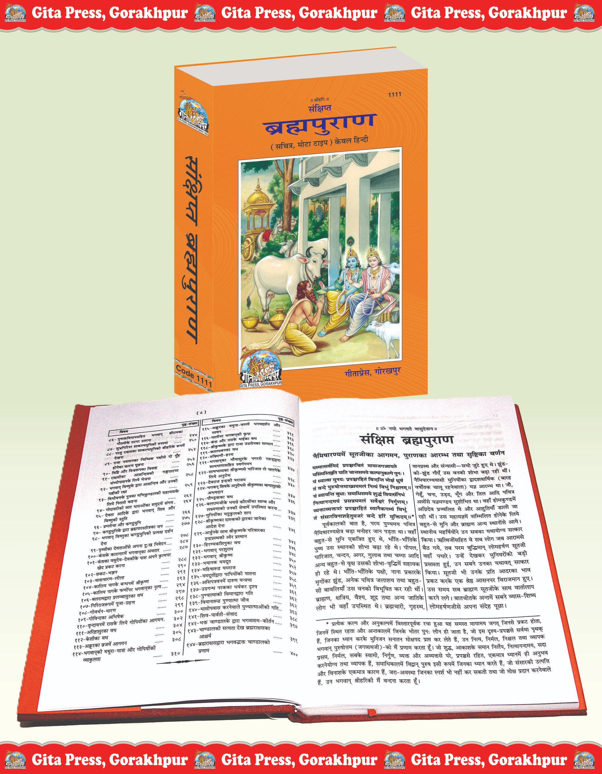 Sankshipt Brahma Purana Hindi Adi Puran Hindi Inside Page