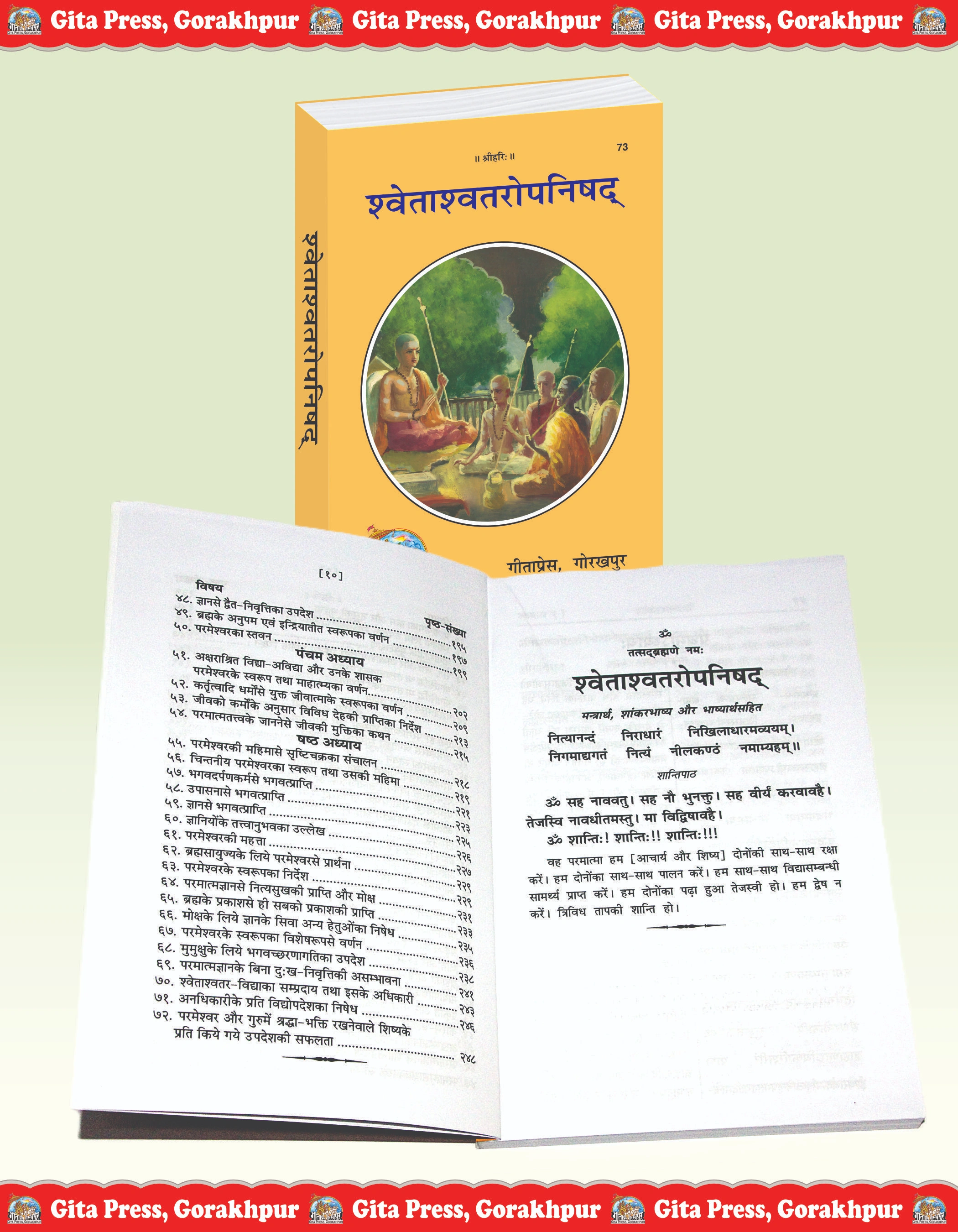 Shvetashvatara Upanishad Hindi Inside Page