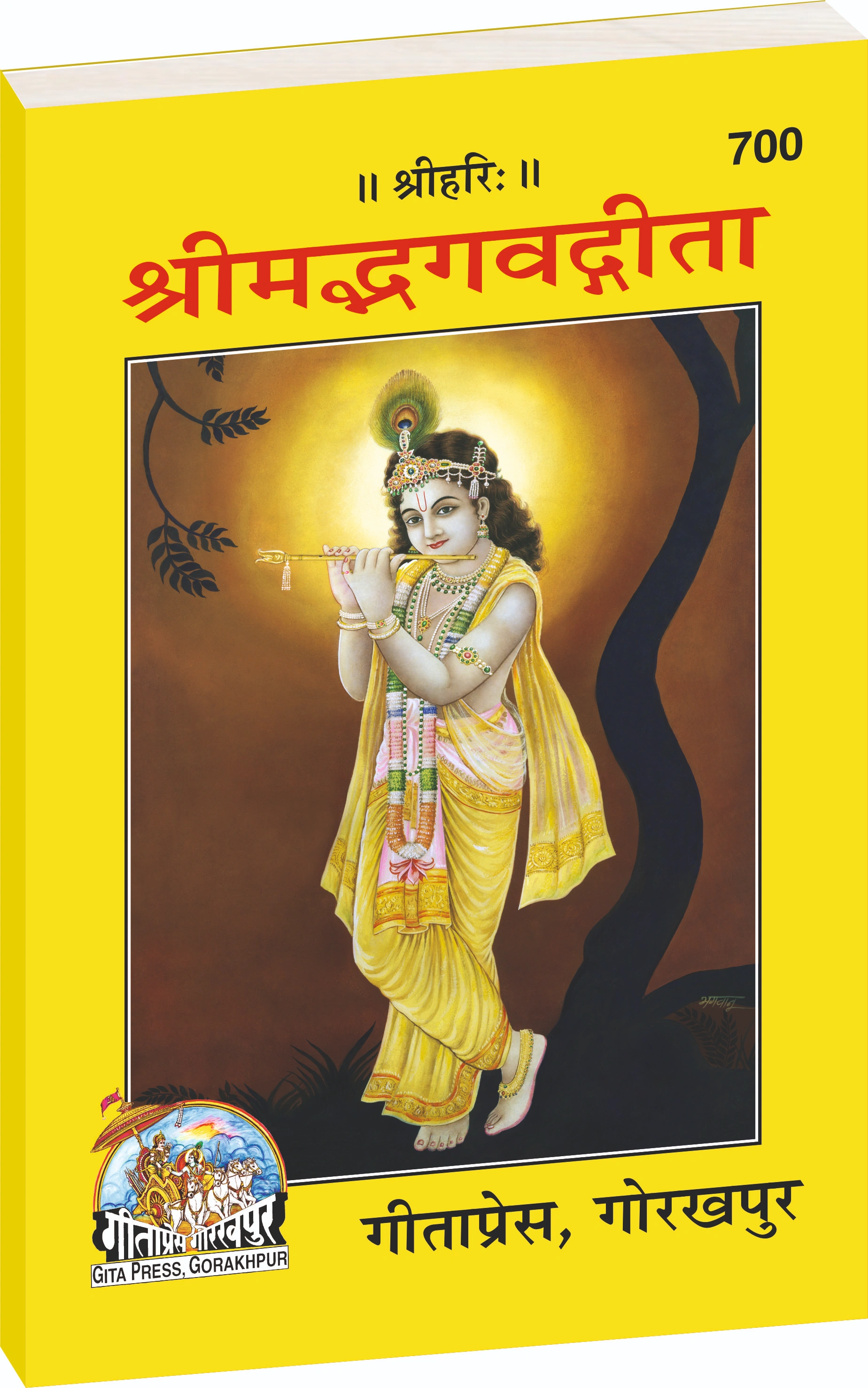 Shrimad Bhagavad Gita Mool Sanskrit Main